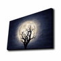 Wallity Lienzo Decorativo Iluminado con Led Multicolor 45 x 70 cm